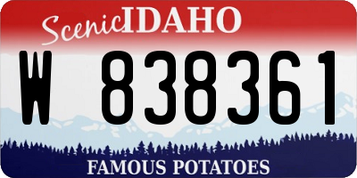 ID license plate W838361
