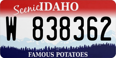 ID license plate W838362