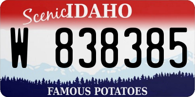 ID license plate W838385