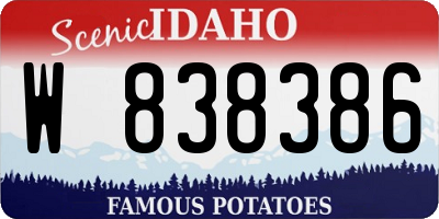 ID license plate W838386