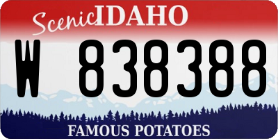 ID license plate W838388