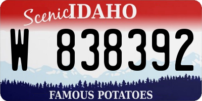 ID license plate W838392