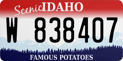 ID license plate W838407