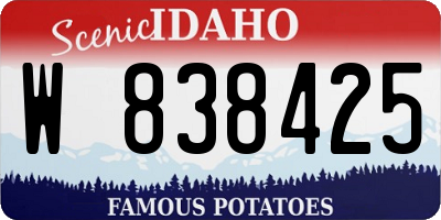 ID license plate W838425
