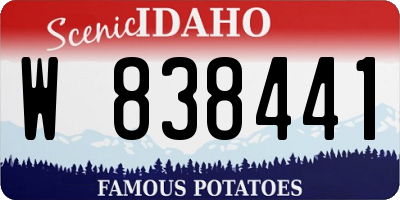 ID license plate W838441