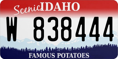 ID license plate W838444