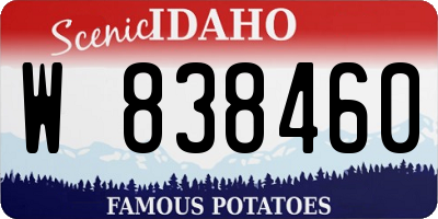ID license plate W838460