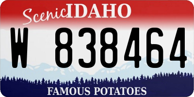 ID license plate W838464
