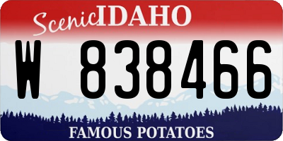 ID license plate W838466