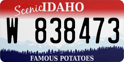 ID license plate W838473