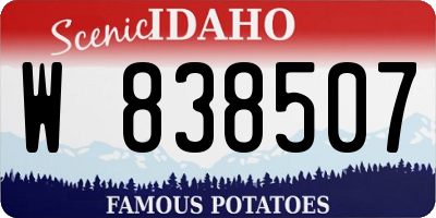 ID license plate W838507