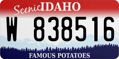 ID license plate W838516