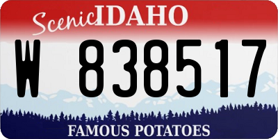 ID license plate W838517