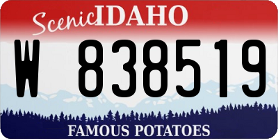 ID license plate W838519