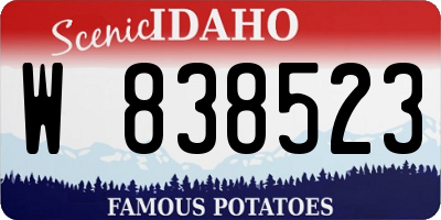 ID license plate W838523