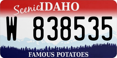 ID license plate W838535