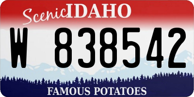 ID license plate W838542