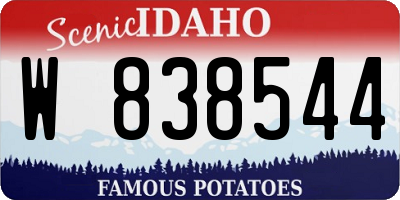 ID license plate W838544