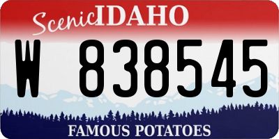 ID license plate W838545