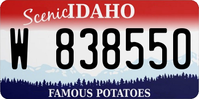 ID license plate W838550