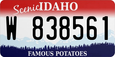 ID license plate W838561