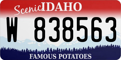 ID license plate W838563