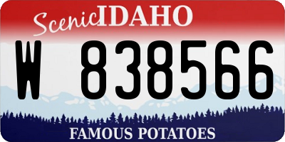 ID license plate W838566