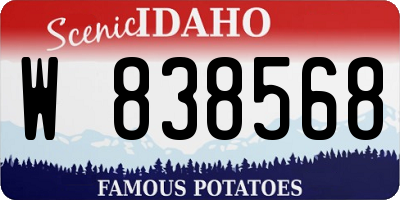 ID license plate W838568