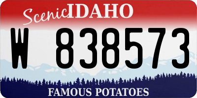 ID license plate W838573