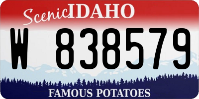 ID license plate W838579