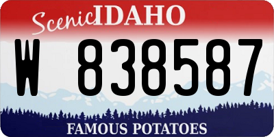 ID license plate W838587