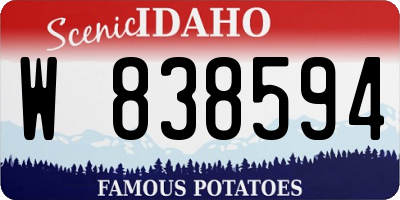 ID license plate W838594