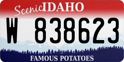 ID license plate W838623