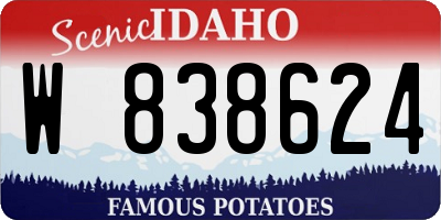 ID license plate W838624