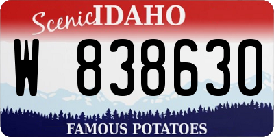 ID license plate W838630