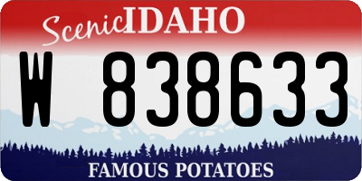 ID license plate W838633