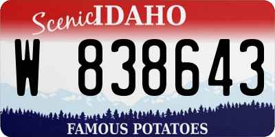ID license plate W838643