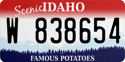 ID license plate W838654