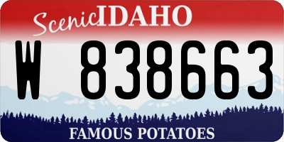 ID license plate W838663