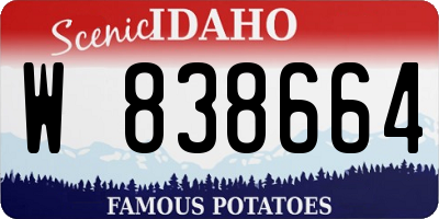 ID license plate W838664