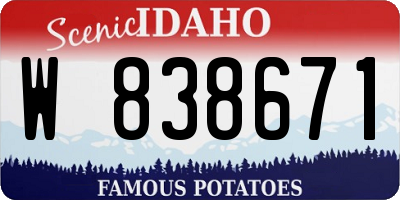 ID license plate W838671