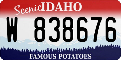 ID license plate W838676
