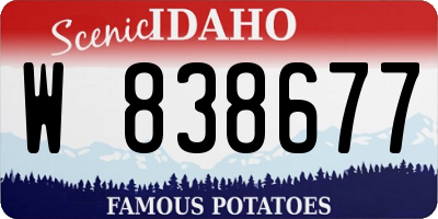 ID license plate W838677