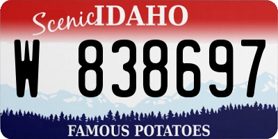 ID license plate W838697