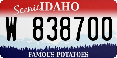 ID license plate W838700