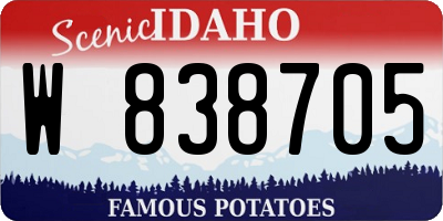ID license plate W838705