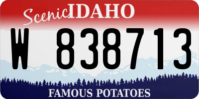 ID license plate W838713