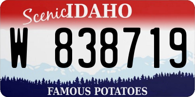 ID license plate W838719