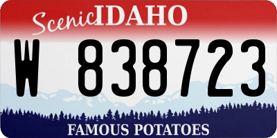 ID license plate W838723