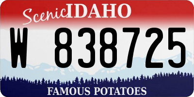 ID license plate W838725